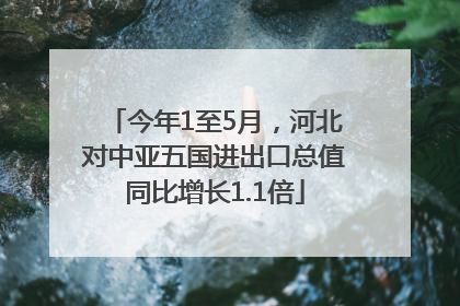 今年1至5月，河北对中亚五国进出口总值同比增长1.1倍